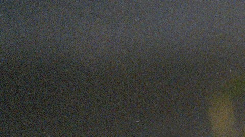 Johnny Carson murió el 23 de enero de 2005.