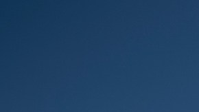 Arrestan a hombres por subir al altar para protestar por Palestina