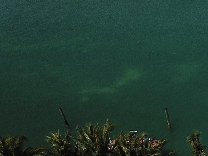 No se sabe cuál es la extensión de la casa principal.