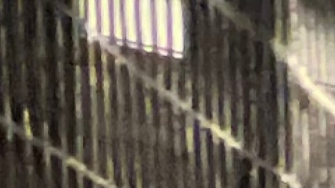 Operativo de agentes encubiertos del NYPD en la estación Hunts Point de El Bronx contra evasores de tarifas y sindicados de delitos con cuentas pendientes