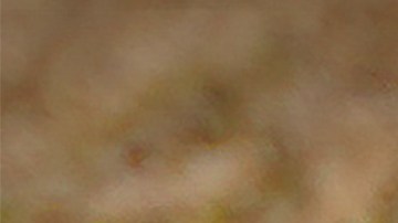 Rata