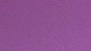 Carolina Sandoval, presentadora de televisión.