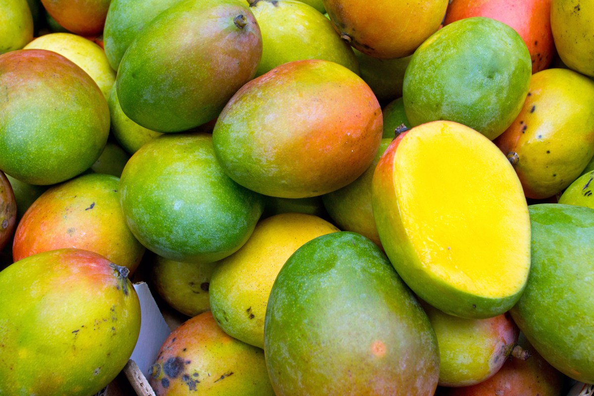 Uses of mango peel that you do not know about