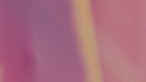 “Soledad es comida de mi familia, que le estoy dando a conocer a Nueva York, son mis raíces, y Amarena es donde la comida italiana brilla”, cuenta Medina sobre los recién estrenados conceptos gastronómicos.