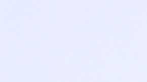 Dayanara Torres, presentadora boricua de televisión.