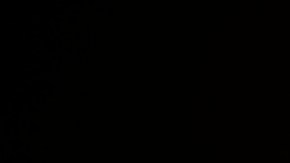 Eclipse solar