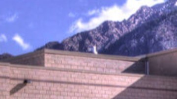 La empleada de la escuela secundaria de Utah se encuentra en la cárcel.