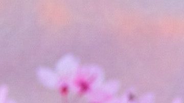 Aaron Taylor-Johnson posando.