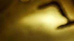 Jeremy Allen White posando.