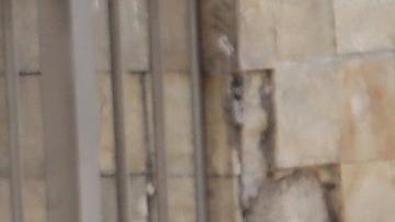 La frontera sur de México se prepara para recibir un nuevo éxodo de Haití ante la crisis