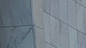 Miembros de la la coalición CARE for Immigrant Families alzaron su voz de protesta para exigir ayuda legal a los inmigrantes.