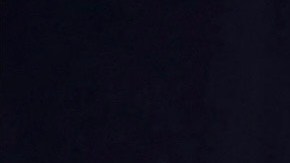 ¿Luis Miguel y Elizabeth Gutiérrez, juntos?