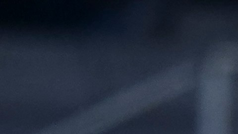 El jugador de los Pumas desmintió que existan problemas internos en la institución.