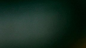 Escándalo en la NBA: Jontay Porter, de los Raptors, es investigado por presunta participación en apuestas deportivas