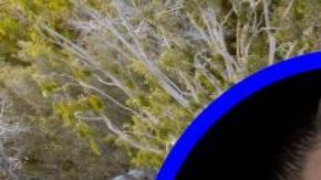 La mansión de Cara Delevingne está valorada en $7 millones de dólares.