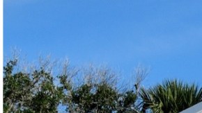 Ley de Florida permitirá a los propietarios de casas expulsar a invasores