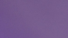 Lili Estefan, presentadora de televisión.