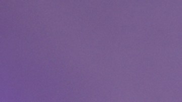 Lili Estefan, presentadora de televisión.