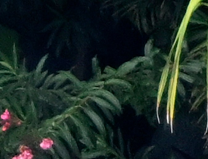 Sean ‘Diddy’ Combs 