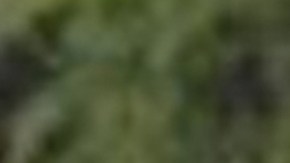 Detuvieron en España a presunto hermano del Niño Guerrero, líder del sanguinario Tren de Aragua