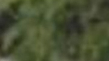 Detuvieron en España a presunto hermano del Niño Guerrero, líder del sanguinario Tren de Aragua