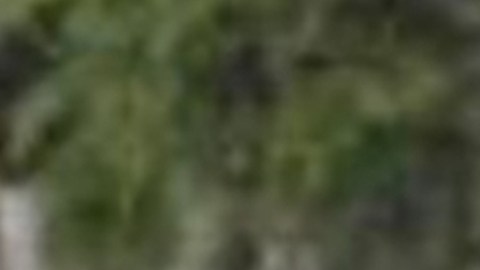 Detuvieron en España a presunto hermano del Niño Guerrero, líder del sanguinario Tren de Aragua