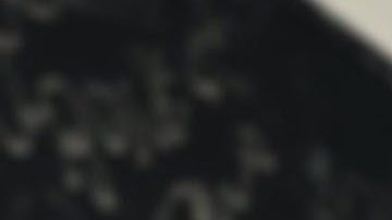 Neyrmar Jr., junto al artista Purple y el tenista Carlos Alcaraz