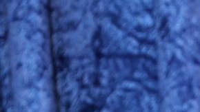 Osmel Sousa, también conocido como el 'Zar de la Belleza'.