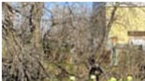 Servicios de emergencia de Delaware en Pensilvania buscan a una niña que cayó en el arroyo