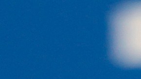 Los Ángeles Dodgers revelan la identidad de la esposa de Shohei Ohtani [Fotos]