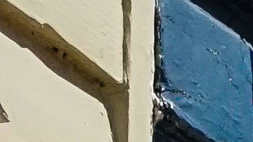 Florece la primavera en Alexandria. Una vista de la zona antigua.