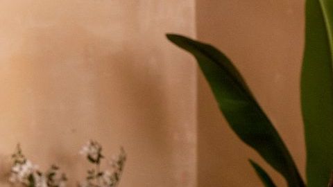 Algunos de los cambios han sido proveer servicios telefónicos sin contrato y beneficios para los clientes a través de Magenta Status y T-Mobile Tuesdays.