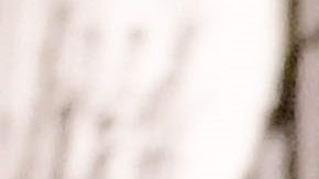 Harry Styles y Taylor Russell