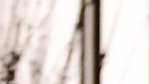 Harry Styles y Taylor Russell