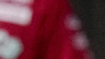 Los Yankees no pudieron con los Diablos Rojos del México.