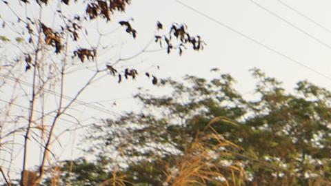 Un migrante sostiene una cruz durante una caravana que se dirige a Ciudad de México.