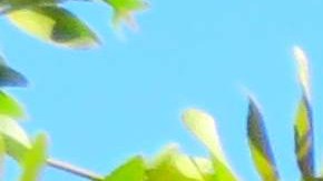 burger-king-cierres-400-restaurantes