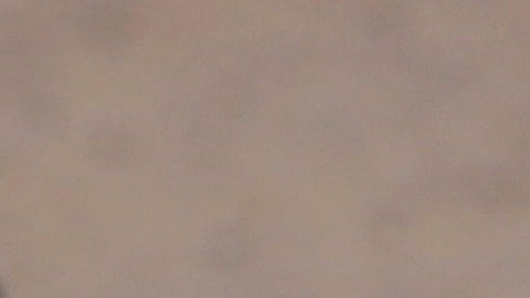 Migrantes en la frontera de Texas y México