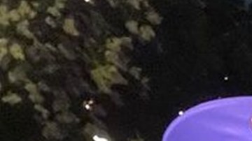 “Sentí un llamado”: la historia de una flautista venezolana que se unió a los Marines de EE.UU.