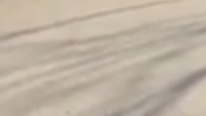 Reportan la detención de migrante latino que incitó a invadir casas abandonadas en Estados Unidos