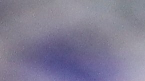 loteria-kentucky-renuncia-a-empleo