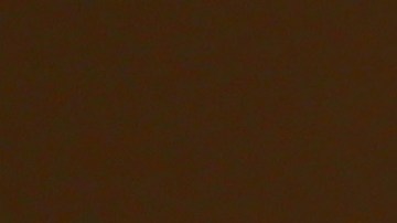 loteria-maryland-raspadito-crucigrama