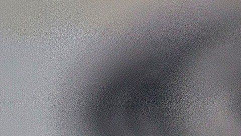 seguro-social-pagos-marzo