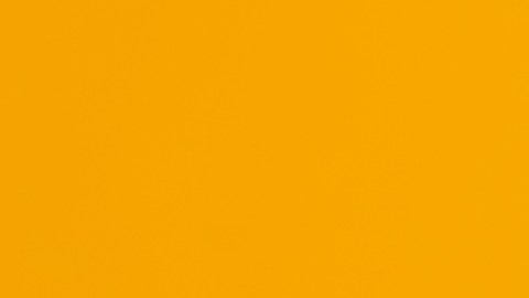 seguro-social-pagos-mensuales-abril