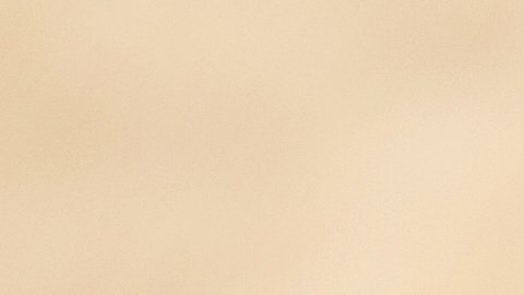 Alimentos ricos en grasas saludables