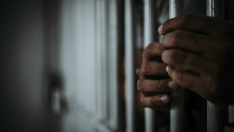 Arrestaron a otro miembro de la banda criminal Tren de Aragua en caso de asesinato en Florida