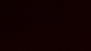 Arrestaron al hombre de 26 años que asesinó a tres mujeres de su familia en Filadelfia