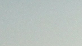 Cinco vecindarios de la ciudad de Nueva York donde la gente vive más feliz, según ChatGPT