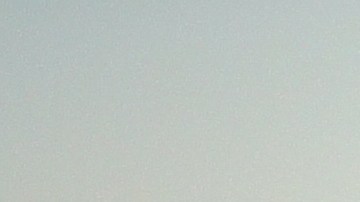 Cinco vecindarios de la ciudad de Nueva York donde la gente vive más feliz, según ChatGPT