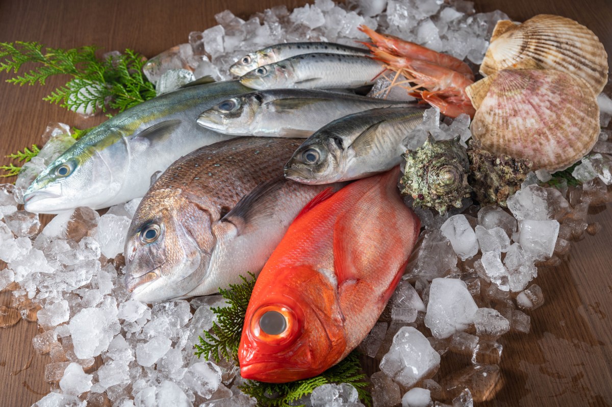  Aprende a seleccionar el mejor pescado: consejos para evitar los que no están frescos 